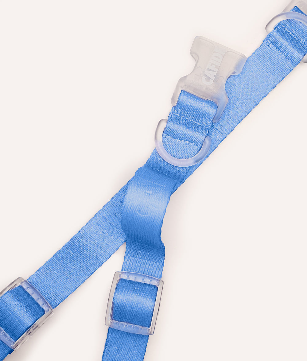cafide-ona-hundehalsband-blau-m-verstellbar-leicht image 4
