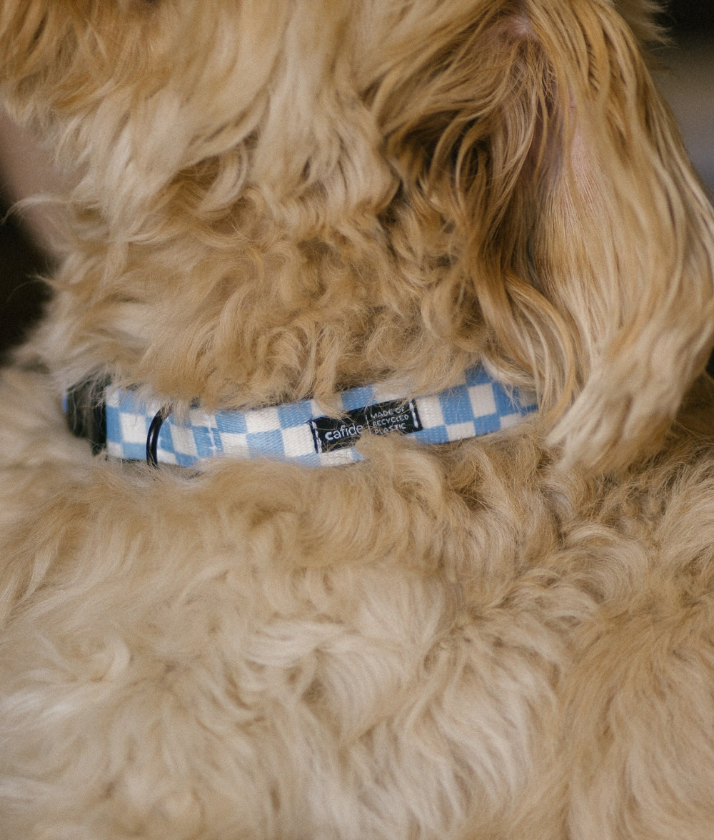 cafide-pets-walk-juno-hundehalsband-vichy-blau-gr-m image 5