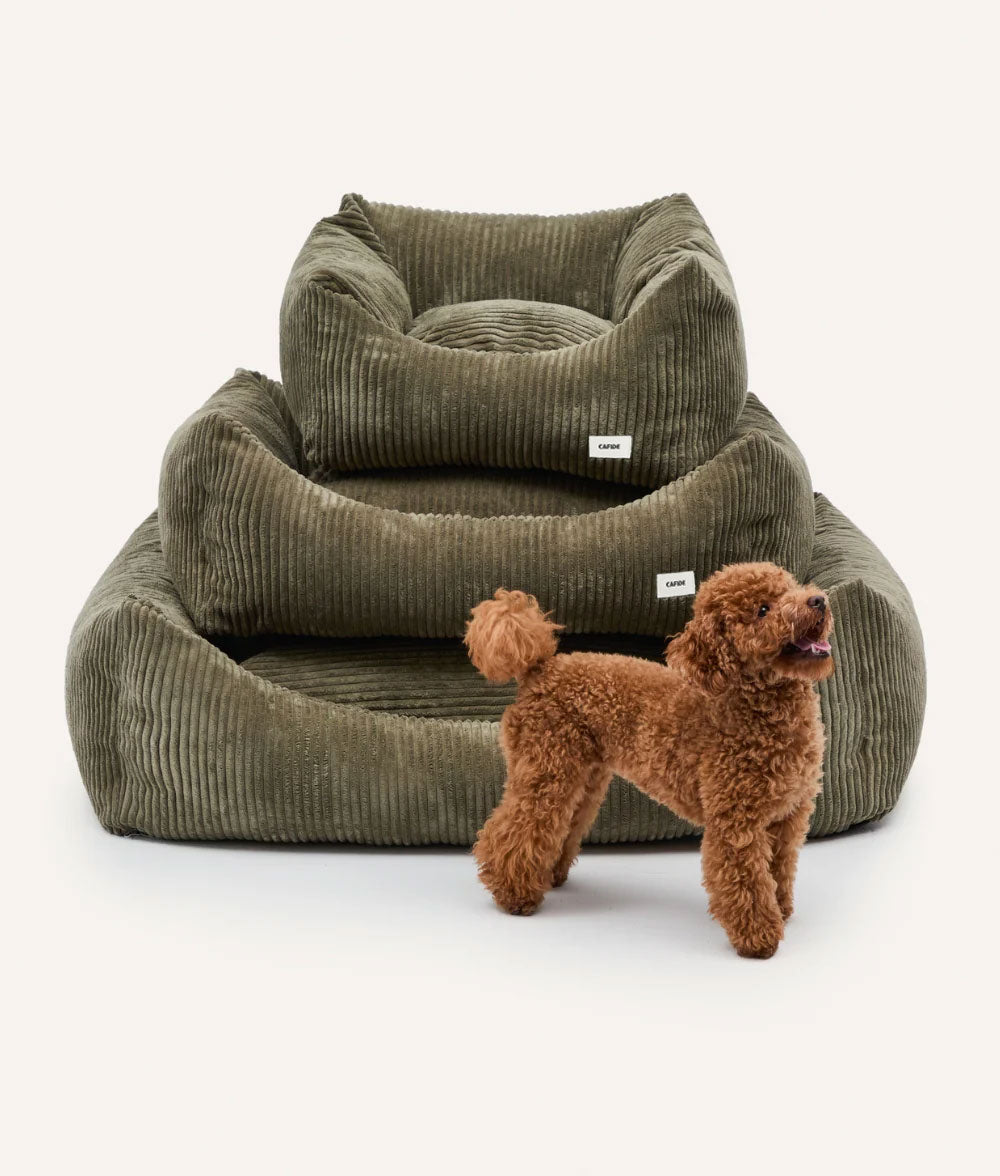 cafide-sleep-snozy-hundebett-cord-gr-n-s-56x50 image 3