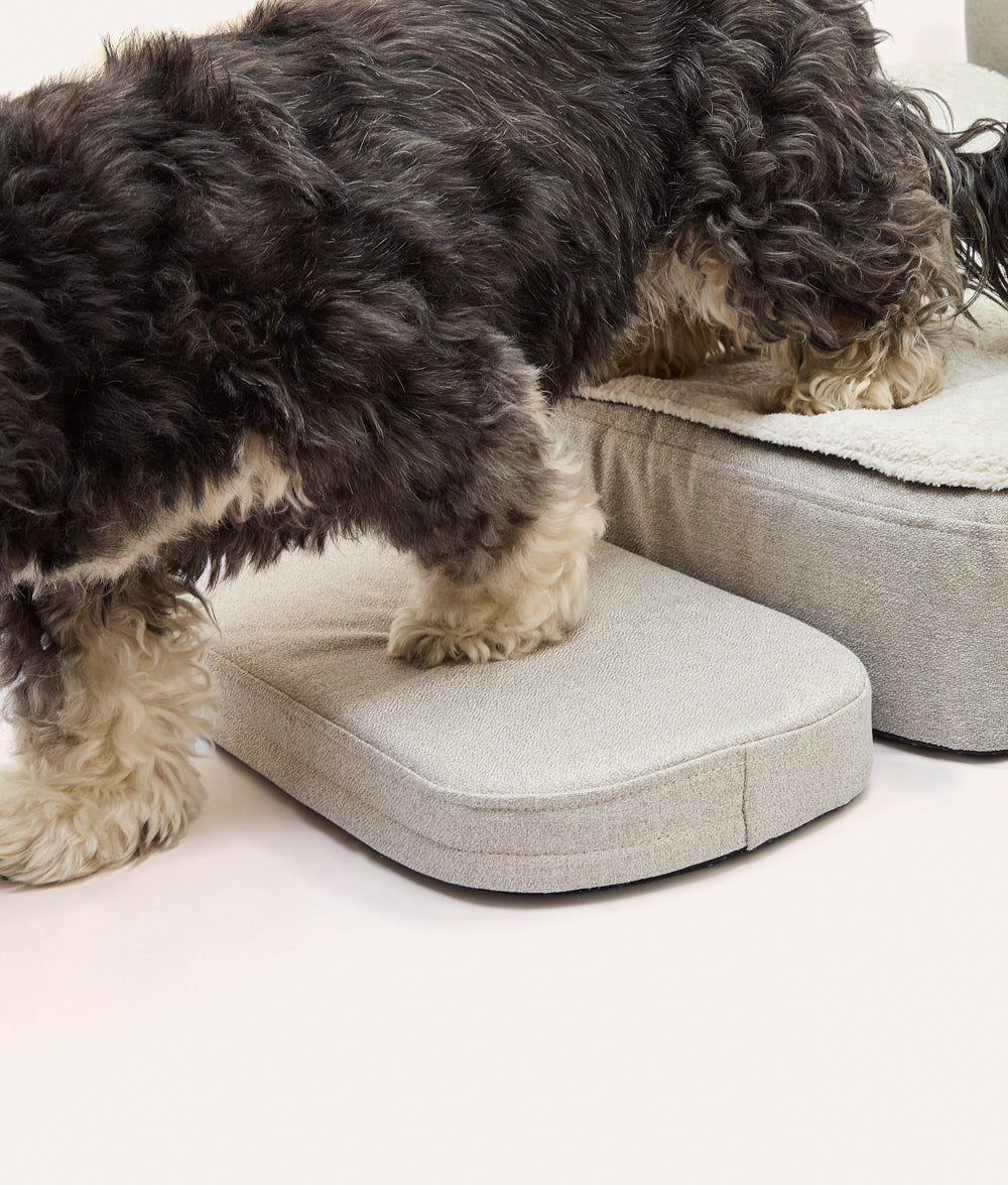 cafide-pets-sleep-soma-einstiegstufe-hundebett-orthop-disch image 3