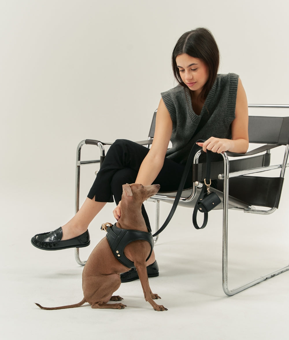 cafide-walk-jala-hundegeschirr-veganes-leder-schwarz image 5