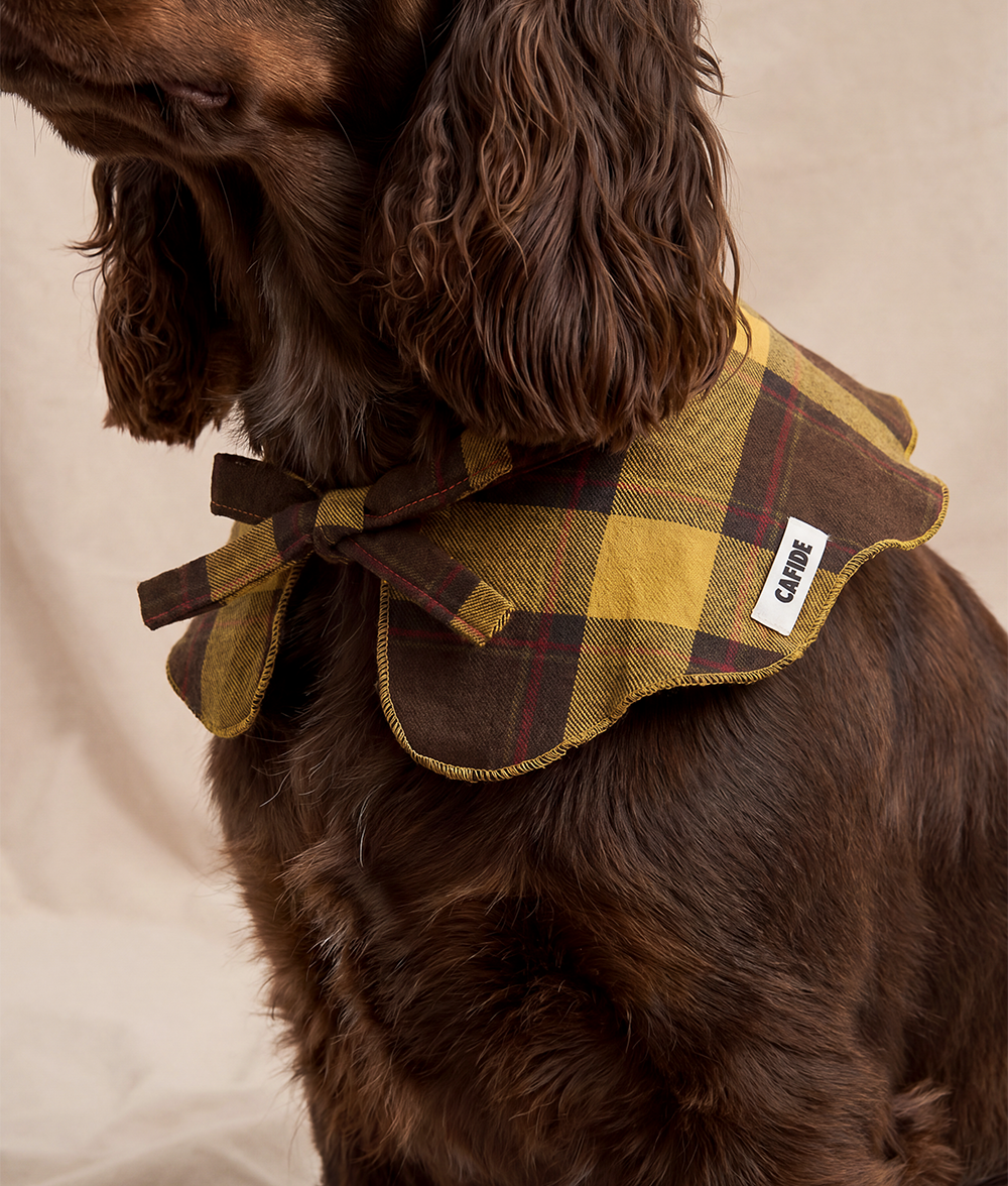 cafide-pets-walk-lola-hundehalstuch-tartan-senf-gr-m image 3