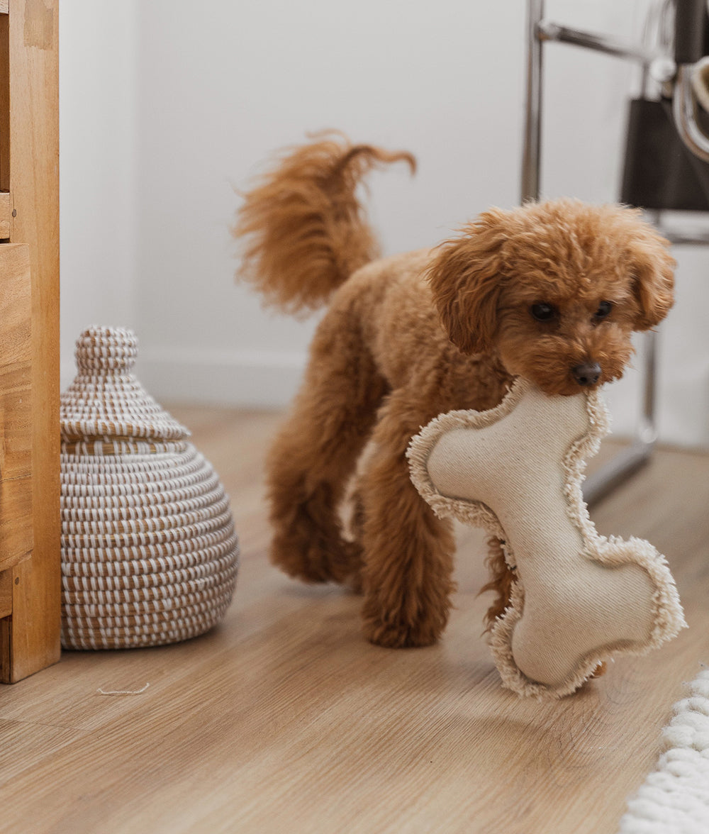 cafide-fleky-white-bone-hundespielzeug-wei-knochen-bio-baumwolle image 6