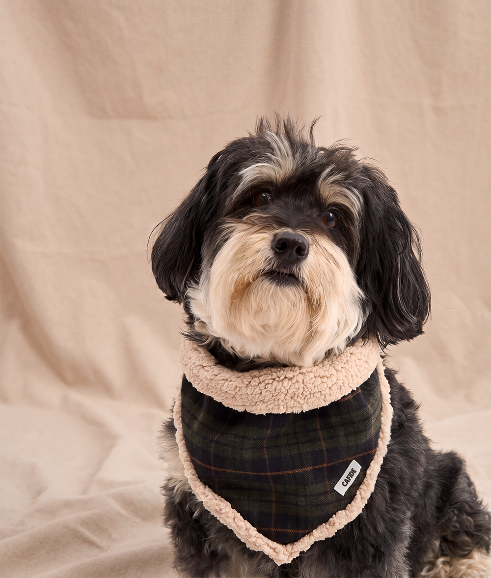 cafide-pets-accessories-nata-hundebandana-tartan-gr-n-wende-baumwolle image 2