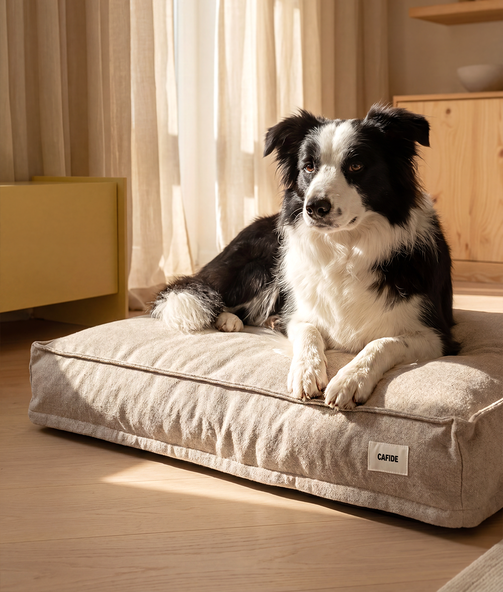 cafide-cuadra-hundebett-beige-waschbar-recycelt-m-l-xl image 2