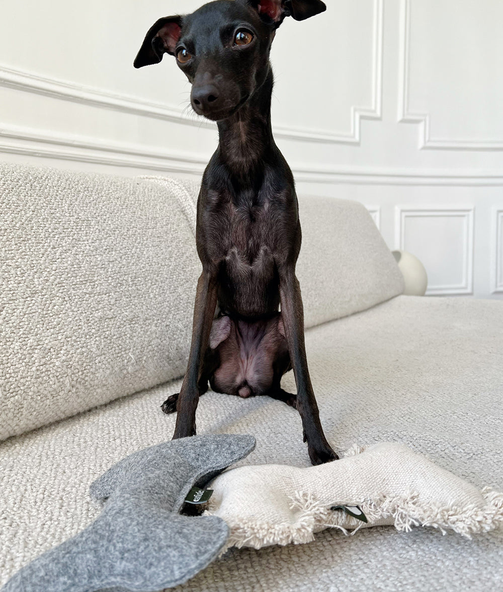 cafide-fleky-white-bone-hundespielzeug-wei-knochen-bio-baumwolle image 7