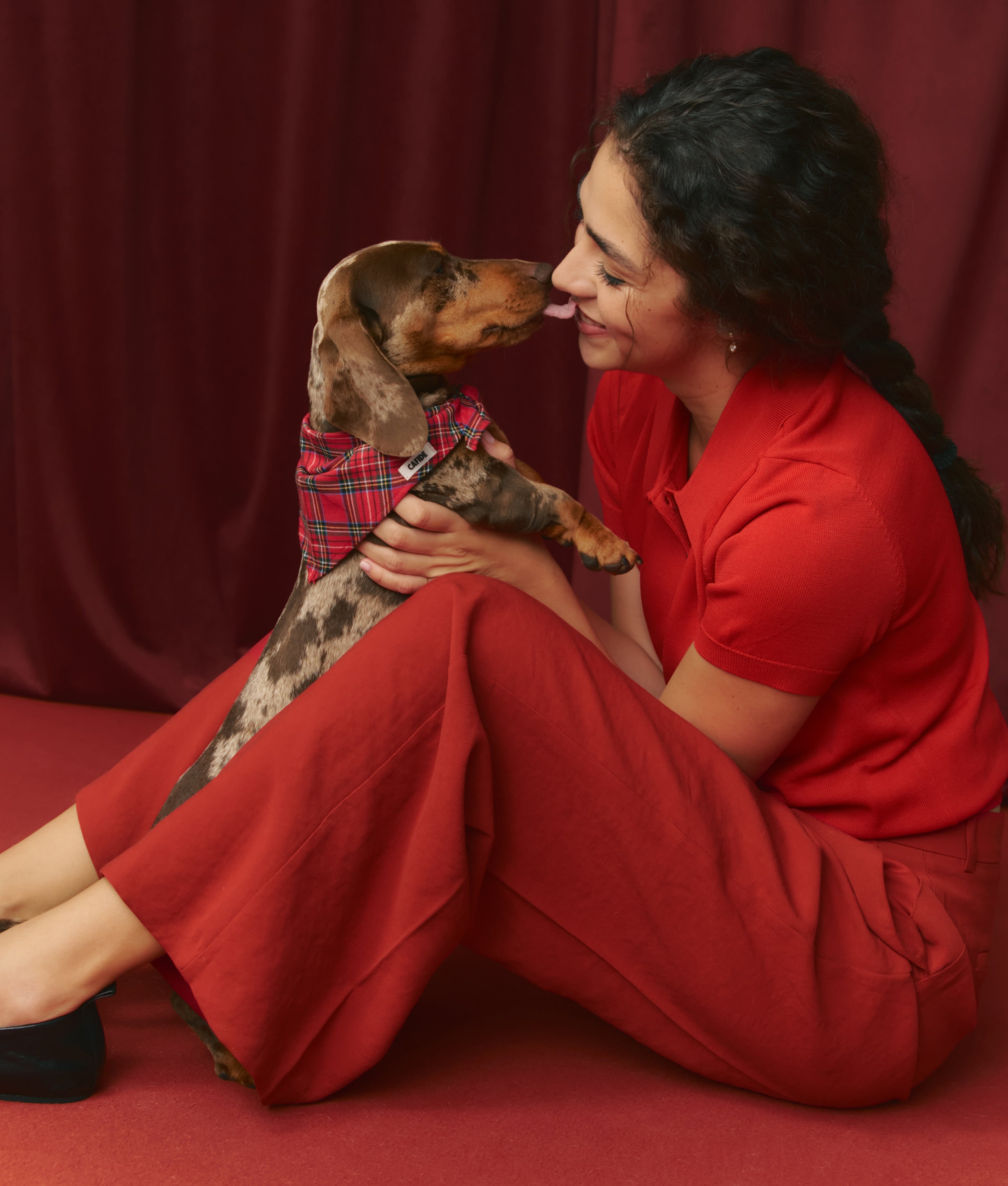cafide-pets-nata-halstuch-royal-stewart-tweed-baumwolle image 2