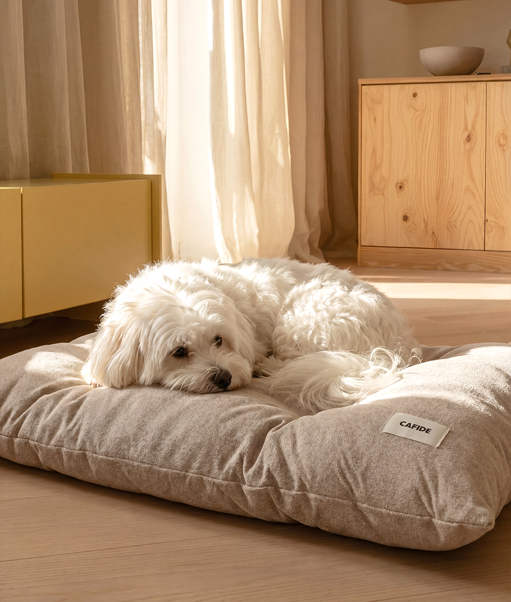 cafide-sleep-bela-hundekissen-beige-waschbar image 2