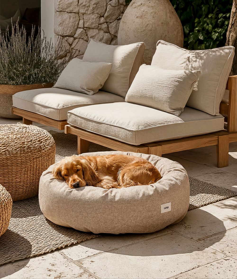 cafide-pets-sleep-nuba-hundebett-beige-m-waschbar image 2