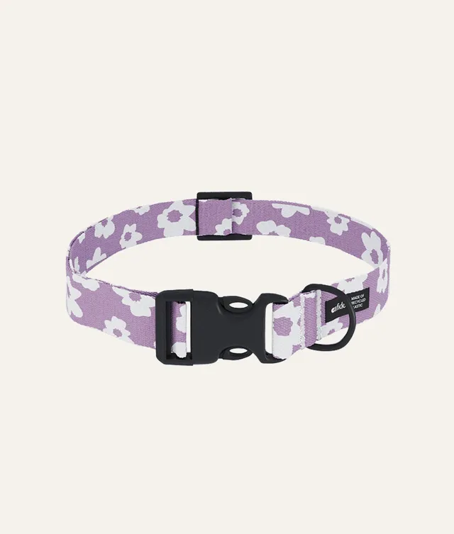 cafide-walk-juno-hundehalsband-violett-verstellbar image 1