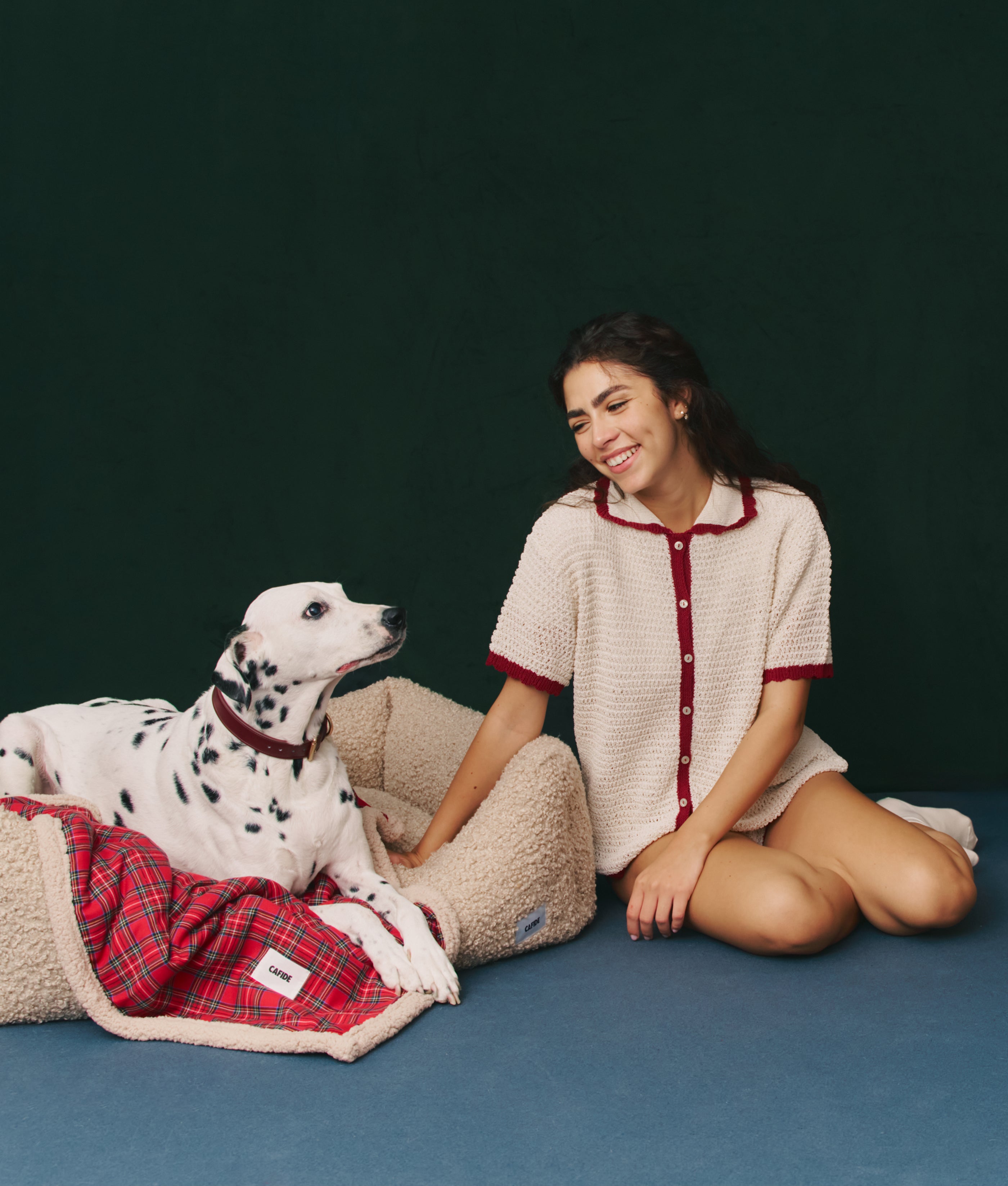 cafide-sleep-toia-hundedecke-tweed-m-90x65 image 4