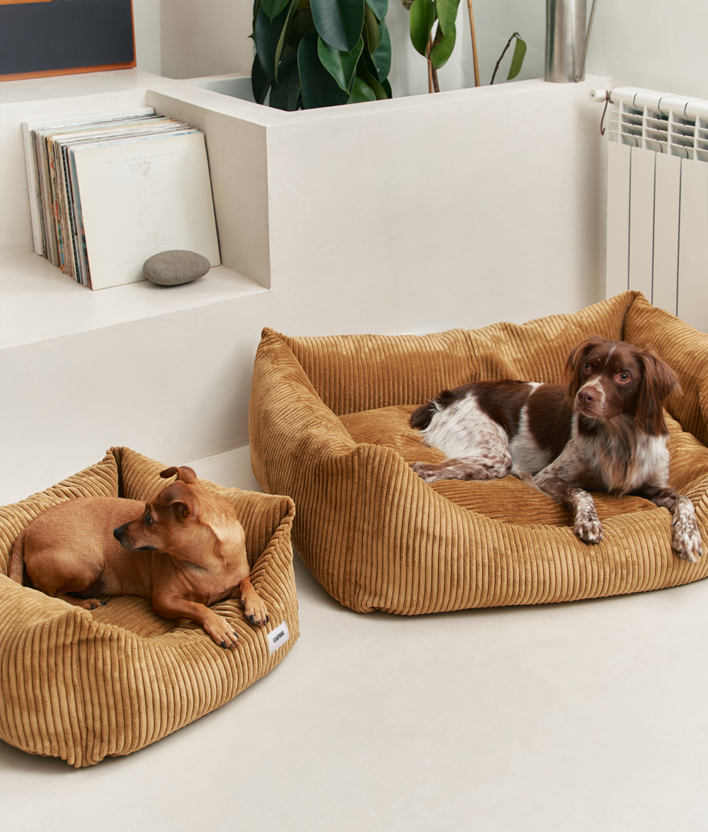 cafide-snozy-hundebett-senf-cord-waschbar-m image 2