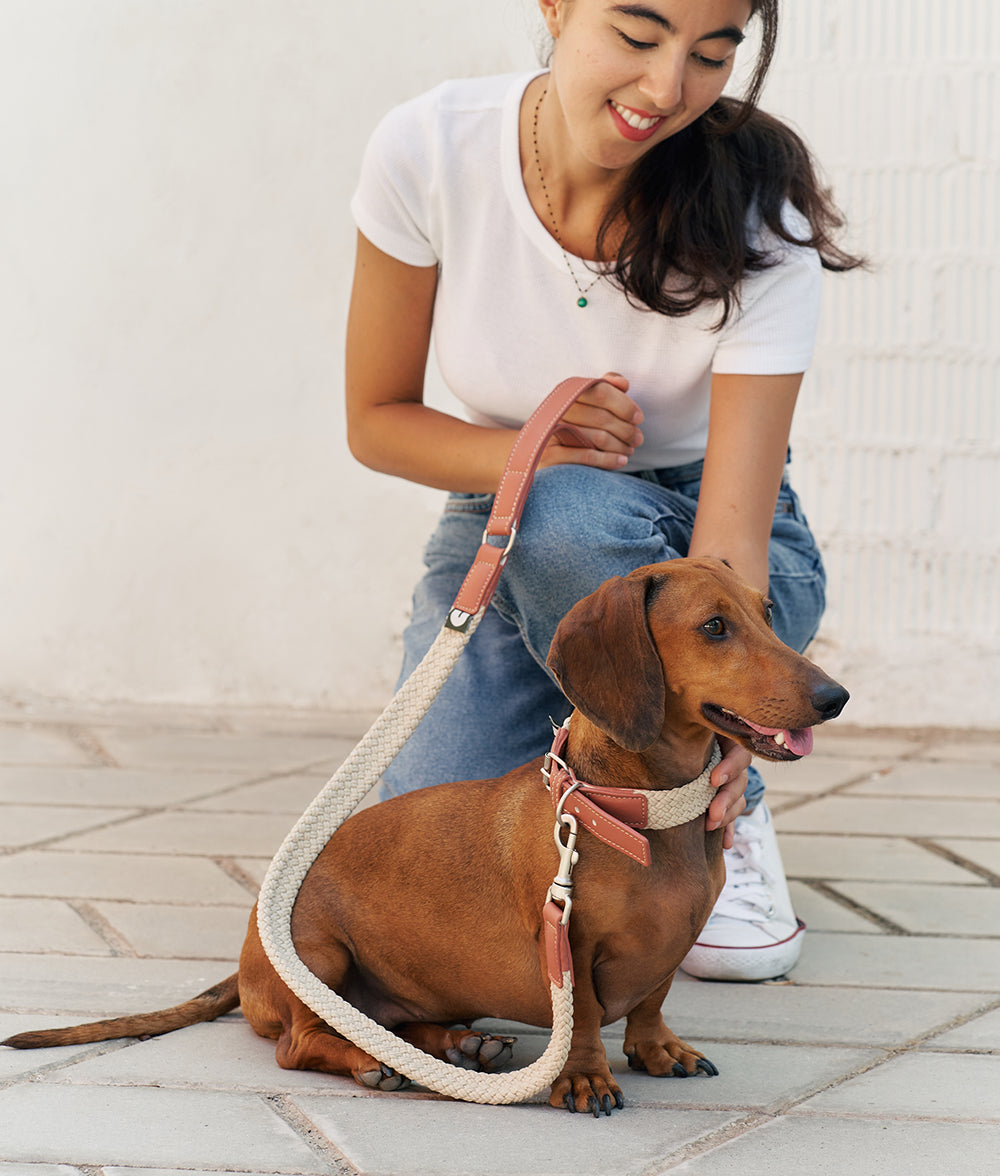 cafide-pets-corda-halsband-vegan-braun-xs-verstellbar image 2