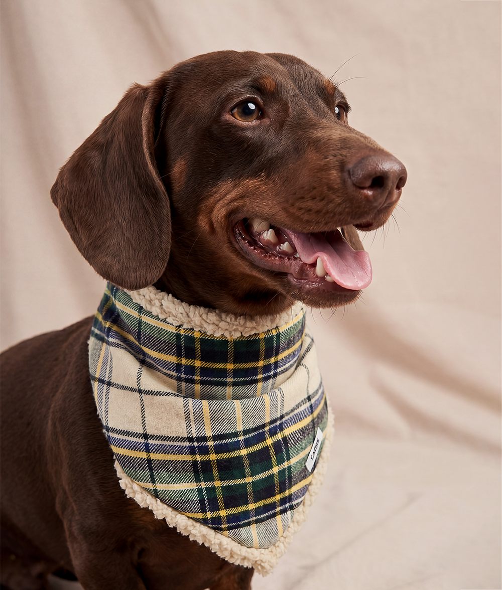 cafide-nata-hundehalstuch-beige-tartan-karo-s image 3