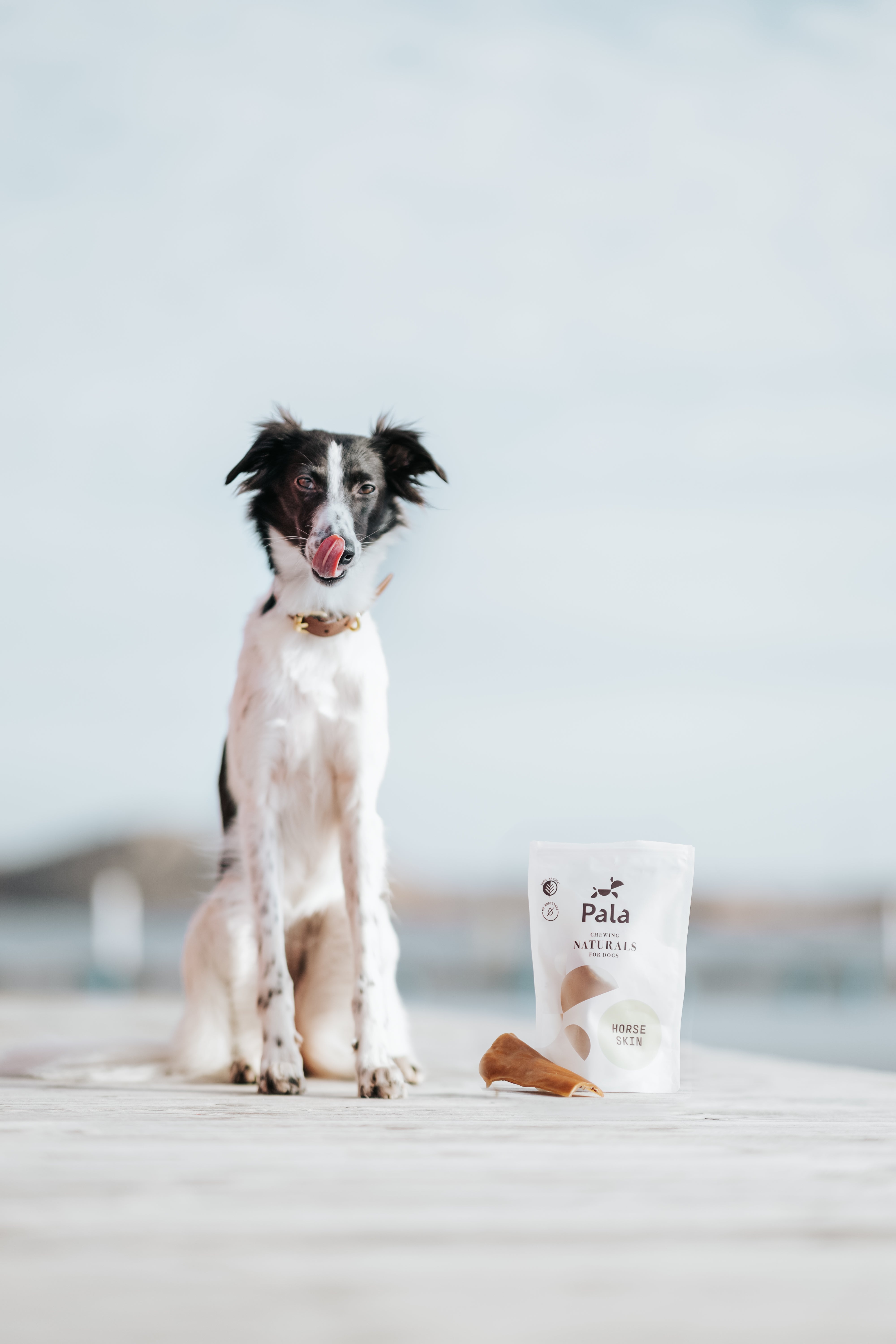 pala-chews-horse-skin-kauartikel-pferdehaut-100g-single-protein image 5