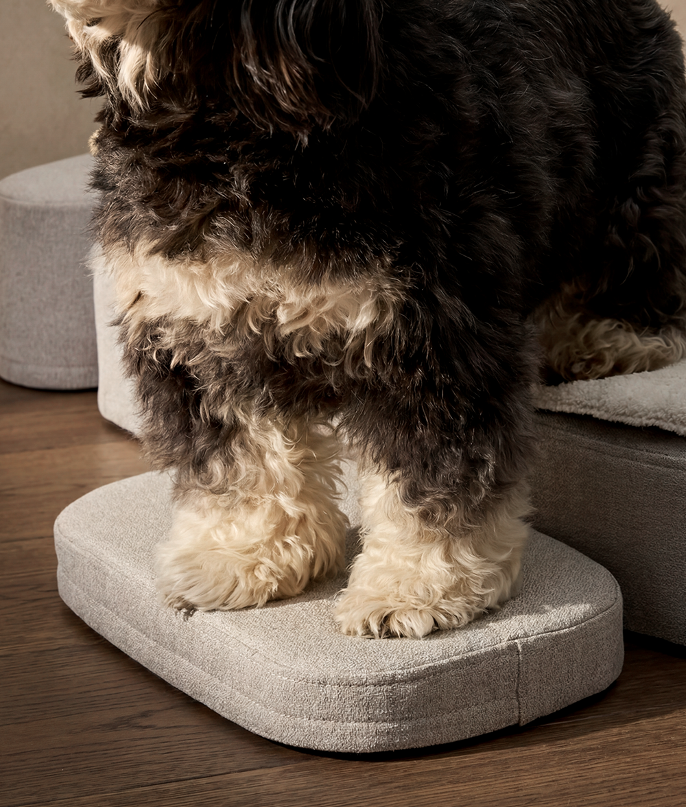 cafide-pets-sleep-soma-orthop-disches-hundebett-memory-foam image 4