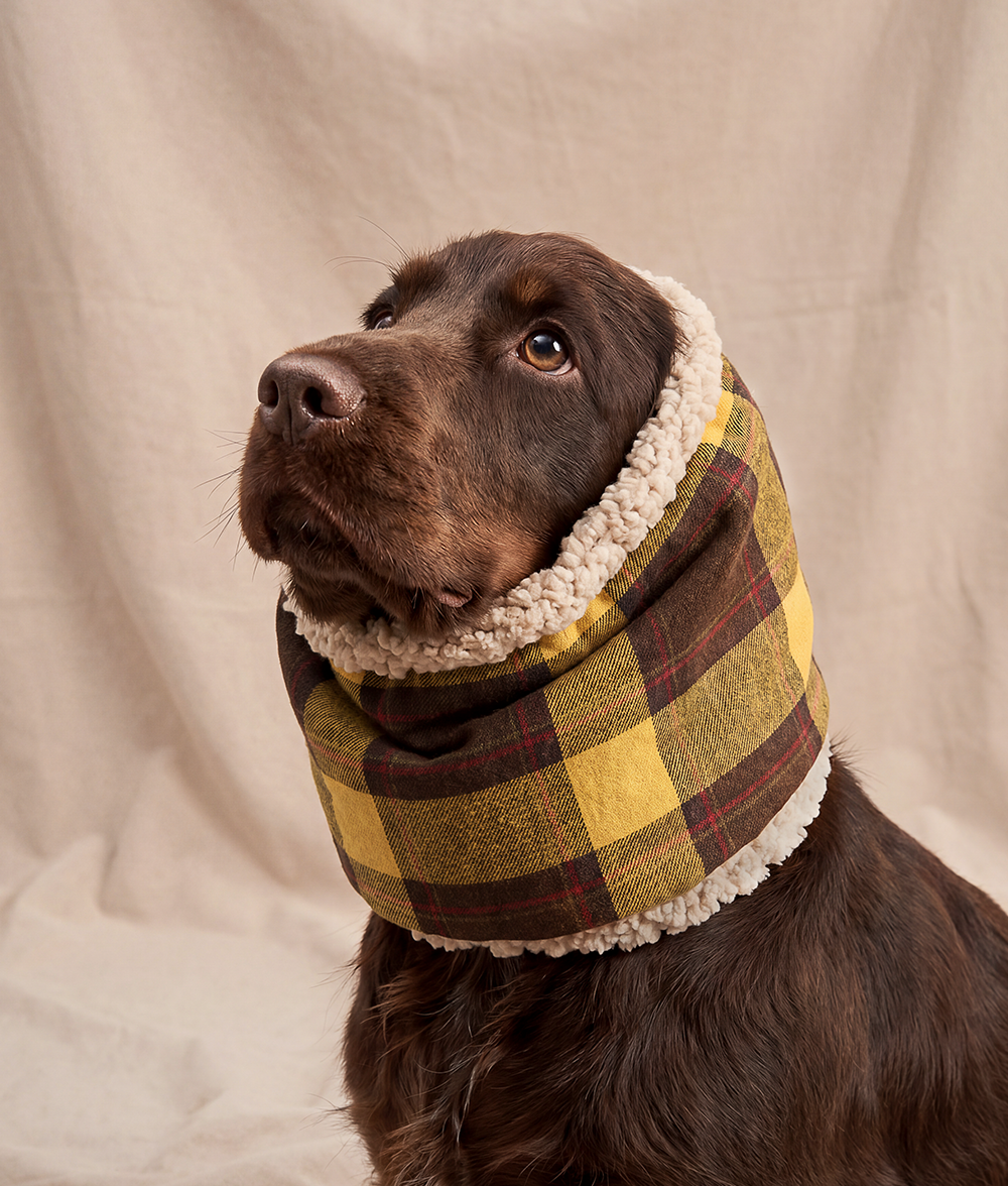 cafide-accessories-olga-hundesnood-m-senf-karo-baumwolle image 2