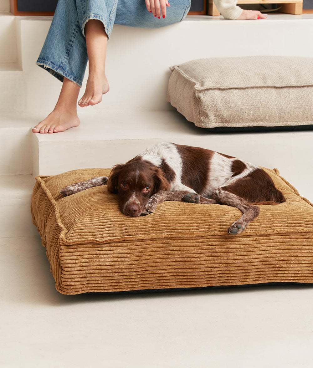 cafide-pets-cuadra-hundebett-senf-cord-m-recycling-schaum image 2