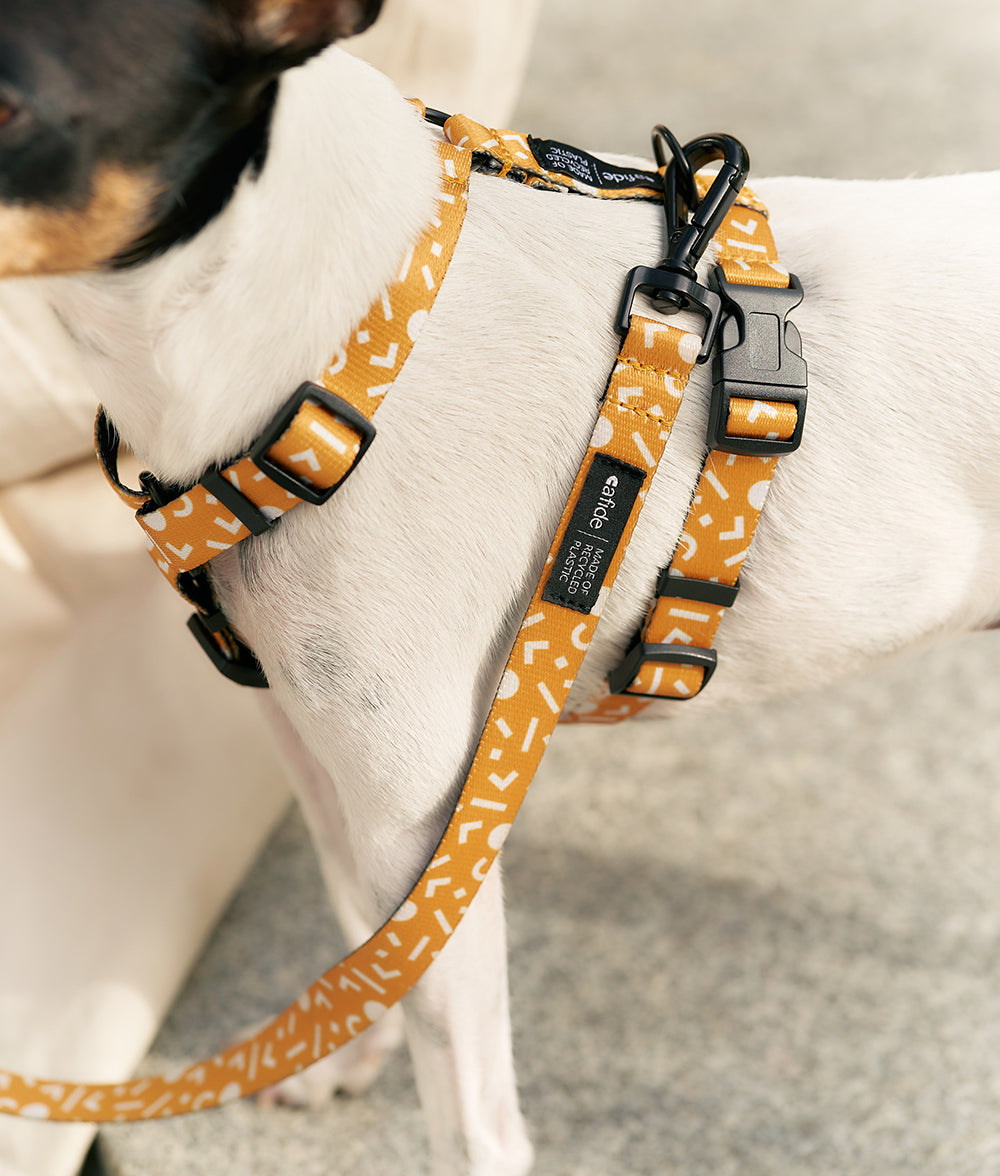 cafide-pets-walk-juno-hundegeschirr-memphis-senf-aus-recycling-pet image 2