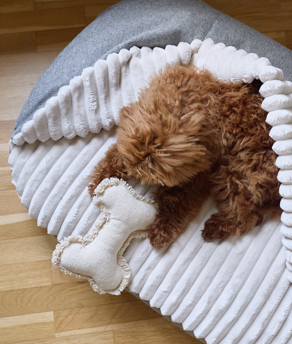 cafide-pets-sleep-maso-h-hlen-hundebett-chenille-grau-m image 2