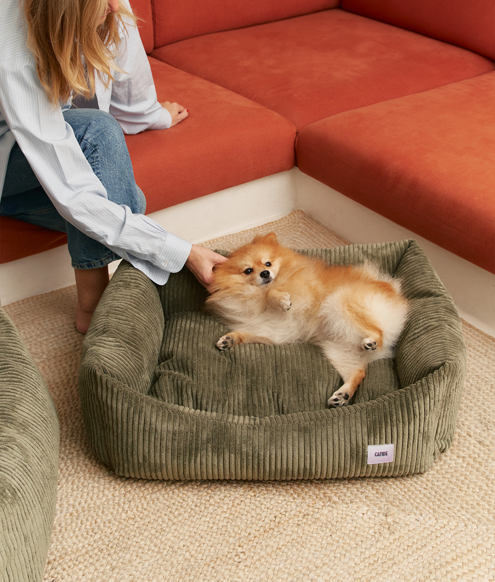 cafide-sleep-snozy-hundebett-cord-gr-n-s-56x50 image 2
