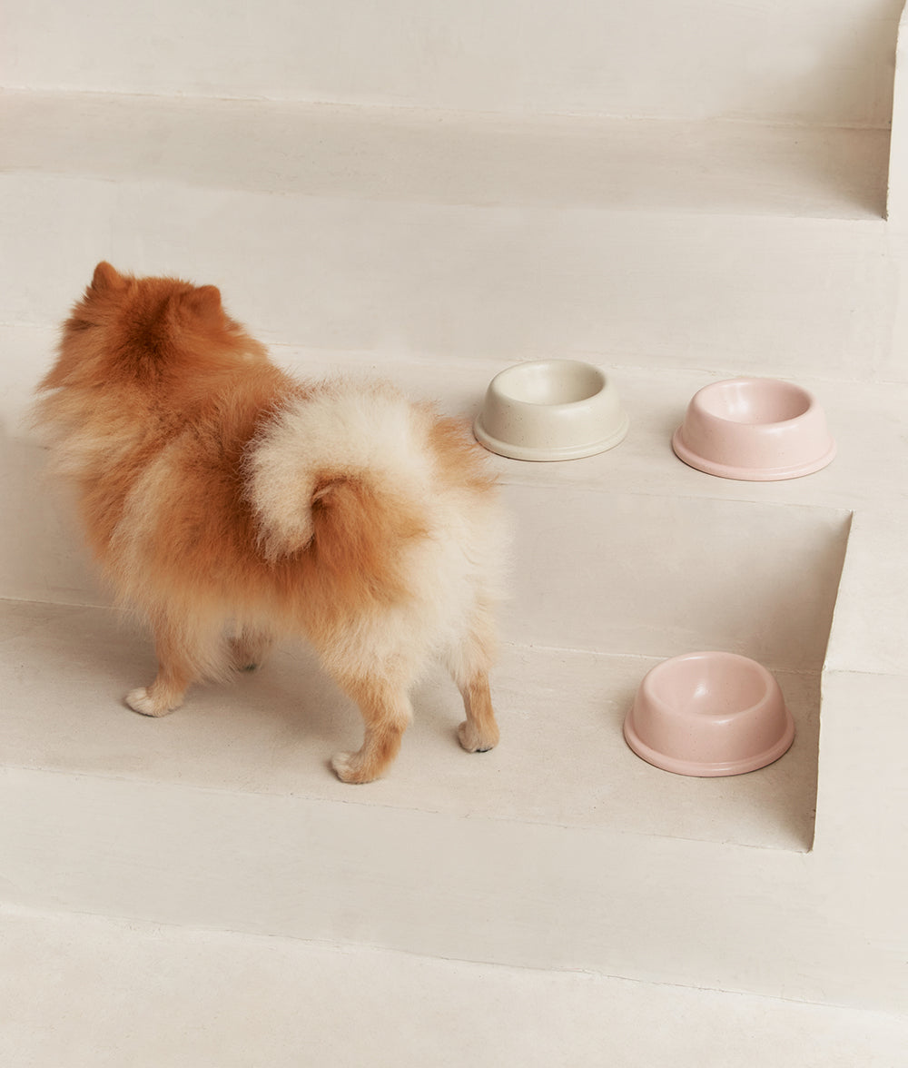 cafide-pets-accessories-bole-napf-keramik-bone-white image 4