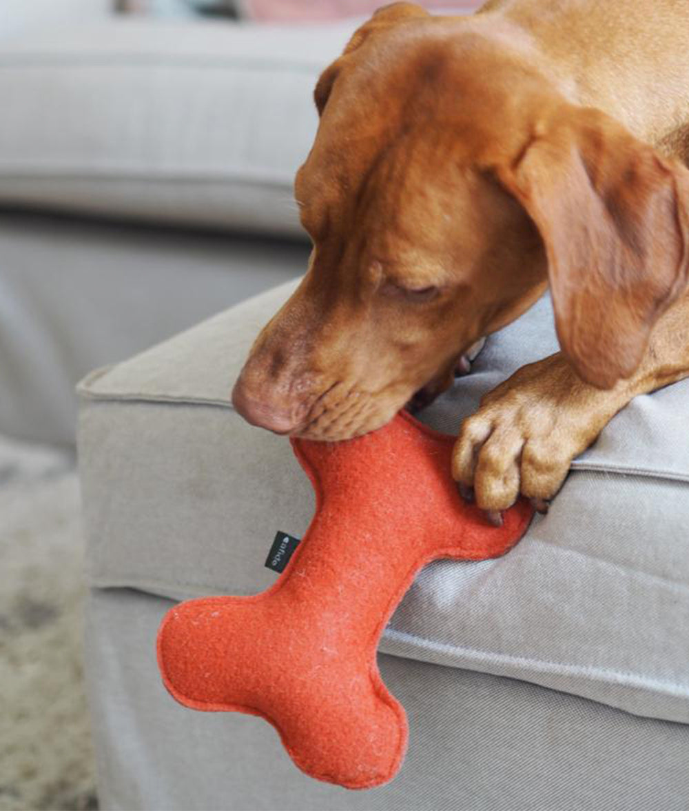 cafide-pets-play-hundespielzeug-knochen-terracotta-weich image 4