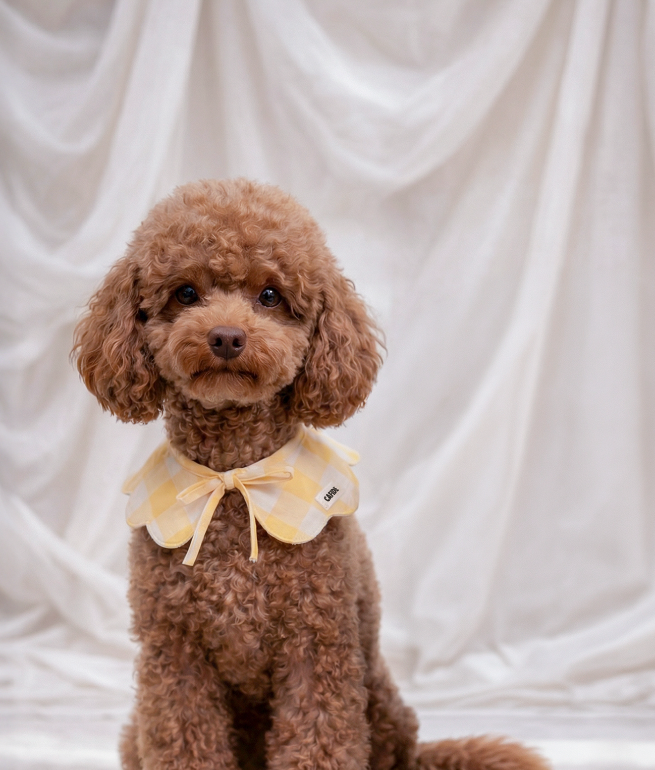 cafide-pets-lola-hundehalstuch-karo-gelb-m-baumwolle image 2