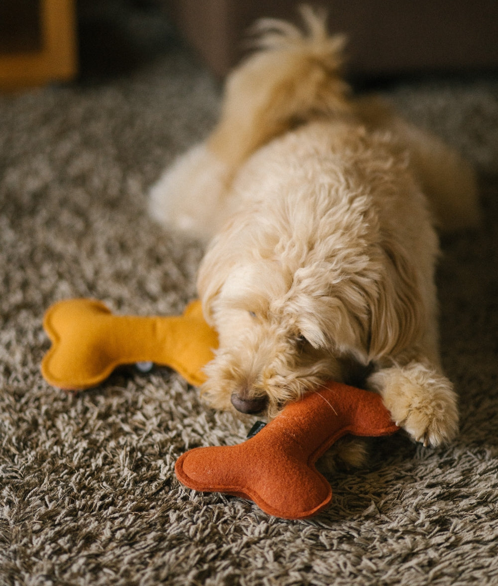 cafide-pets-play-hundespielzeug-knochen-terracotta-weich image 6