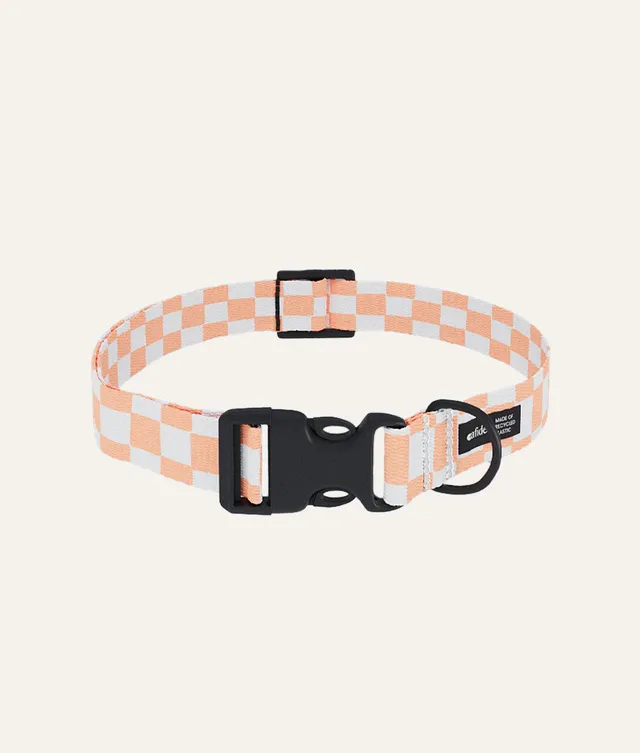 cafide-walk-juno-hundehalsband-pet-orange-pfirsich-m image 1