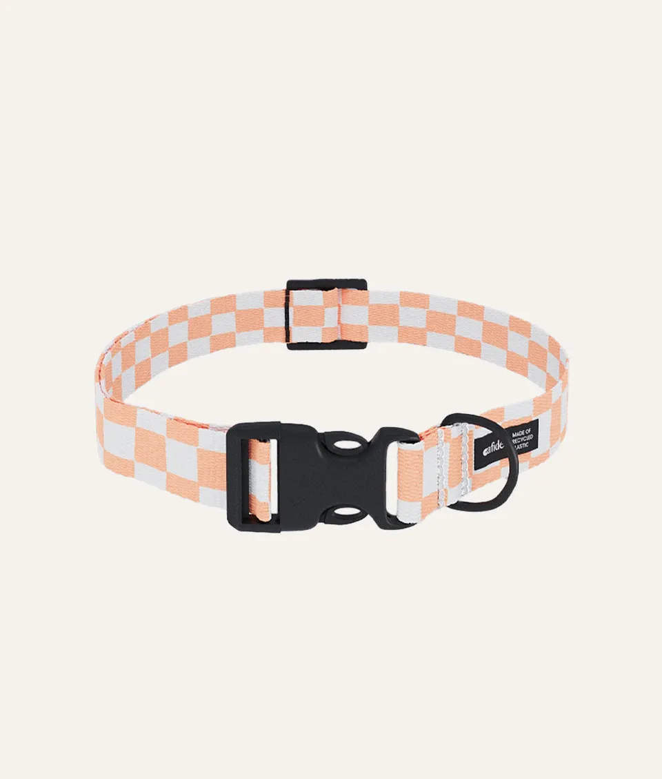 cafide-walk-juno-hundehalsband-pet-orange-pfirsich-m image 1