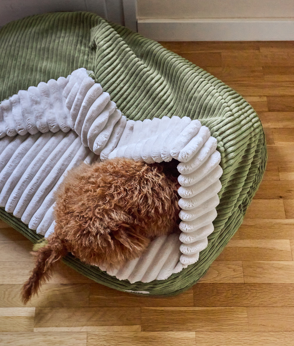 cafide-sleep-maso-h-hlen-hundebett-cord-gr-n-m image 2