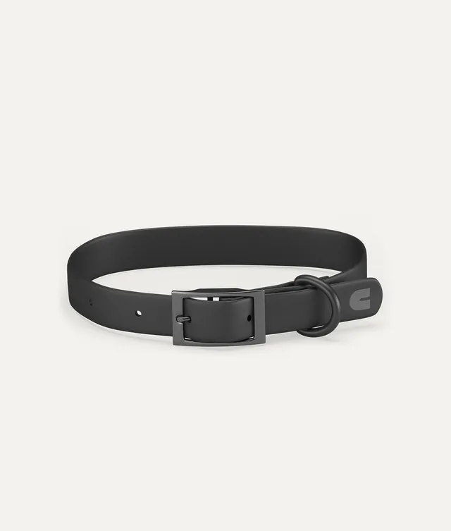cafide-walk-gala-hundehalsband-schwarz-m-verstellbar image 1