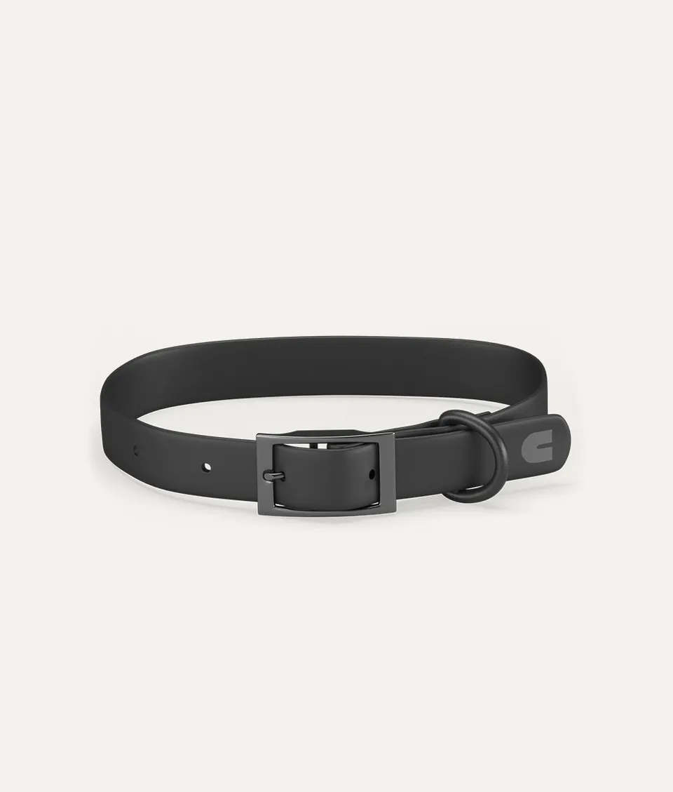 cafide-walk-gala-hundehalsband-schwarz-m-verstellbar image 1