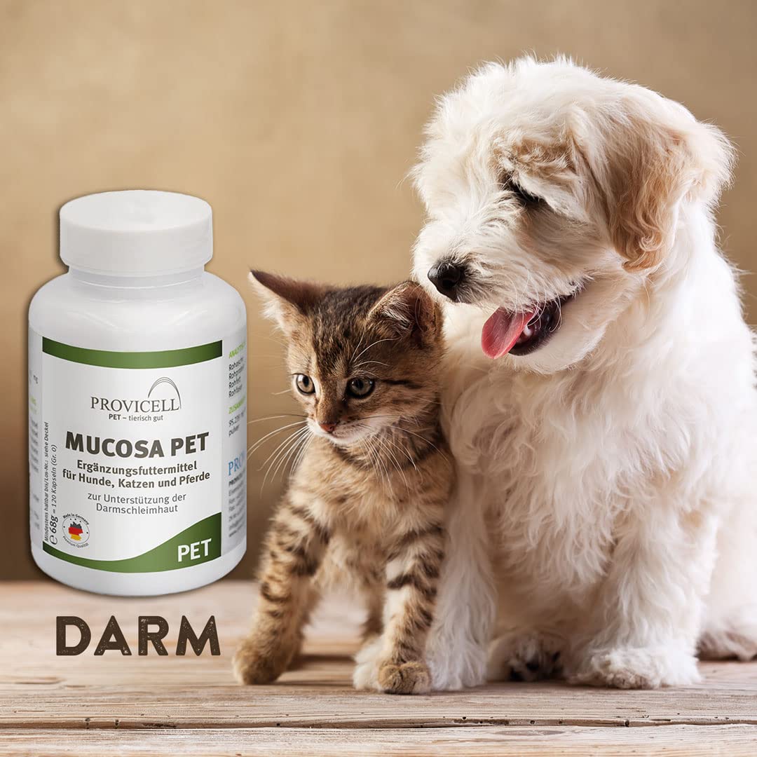 bubeck-mucosa-pet-nahrungserg-nzung-vitamin-b-zink-59g image 2