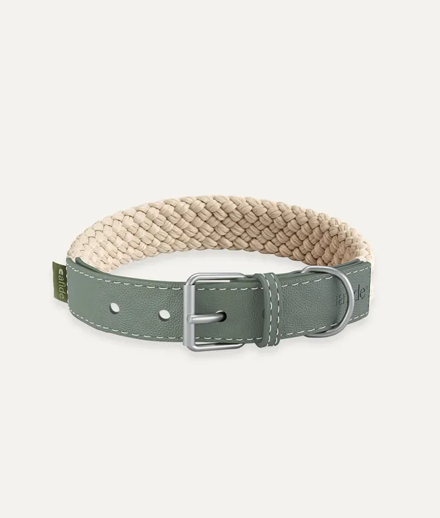 cafide-pets-corda-hundehalsband-vegan-leder-gr-n image 1