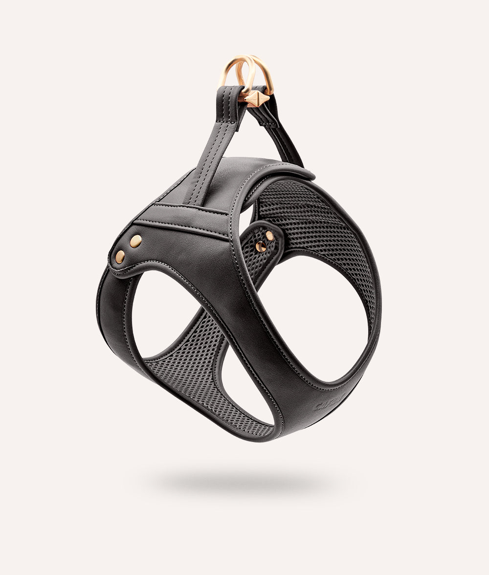 cafide-walk-jala-hundegeschirr-veganes-leder-schwarz image 1