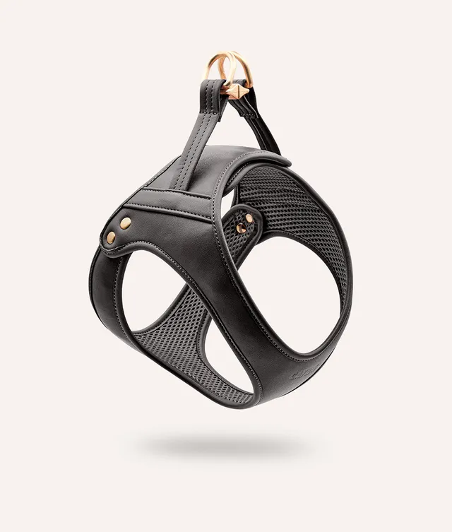 cafide-walk-jala-hundegeschirr-veganes-leder-schwarz image 1