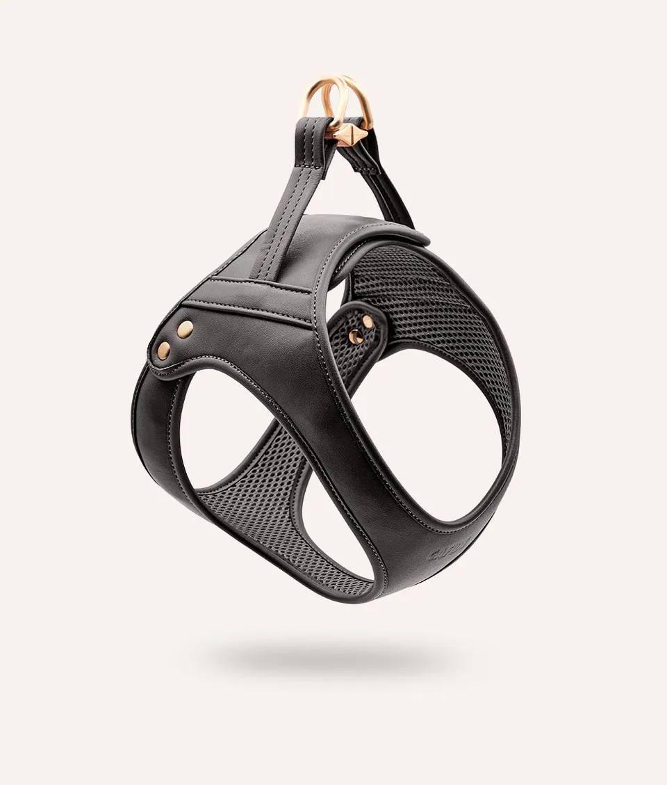cafide-walk-jala-hundegeschirr-veganes-leder-schwarz image 1