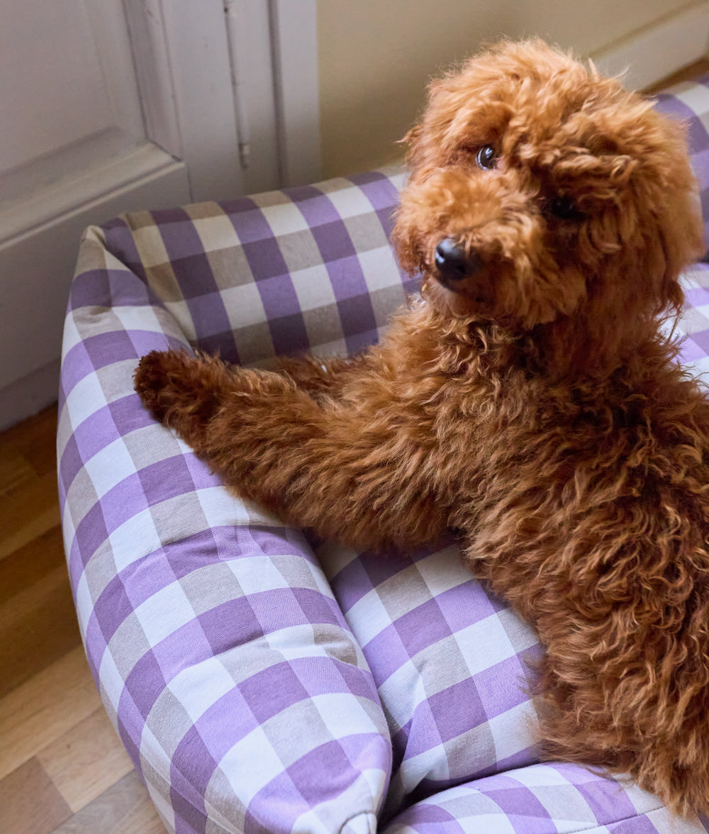 cafide-sleep-snozy-hundebett-vichy-violett-atmungsaktiv image 3