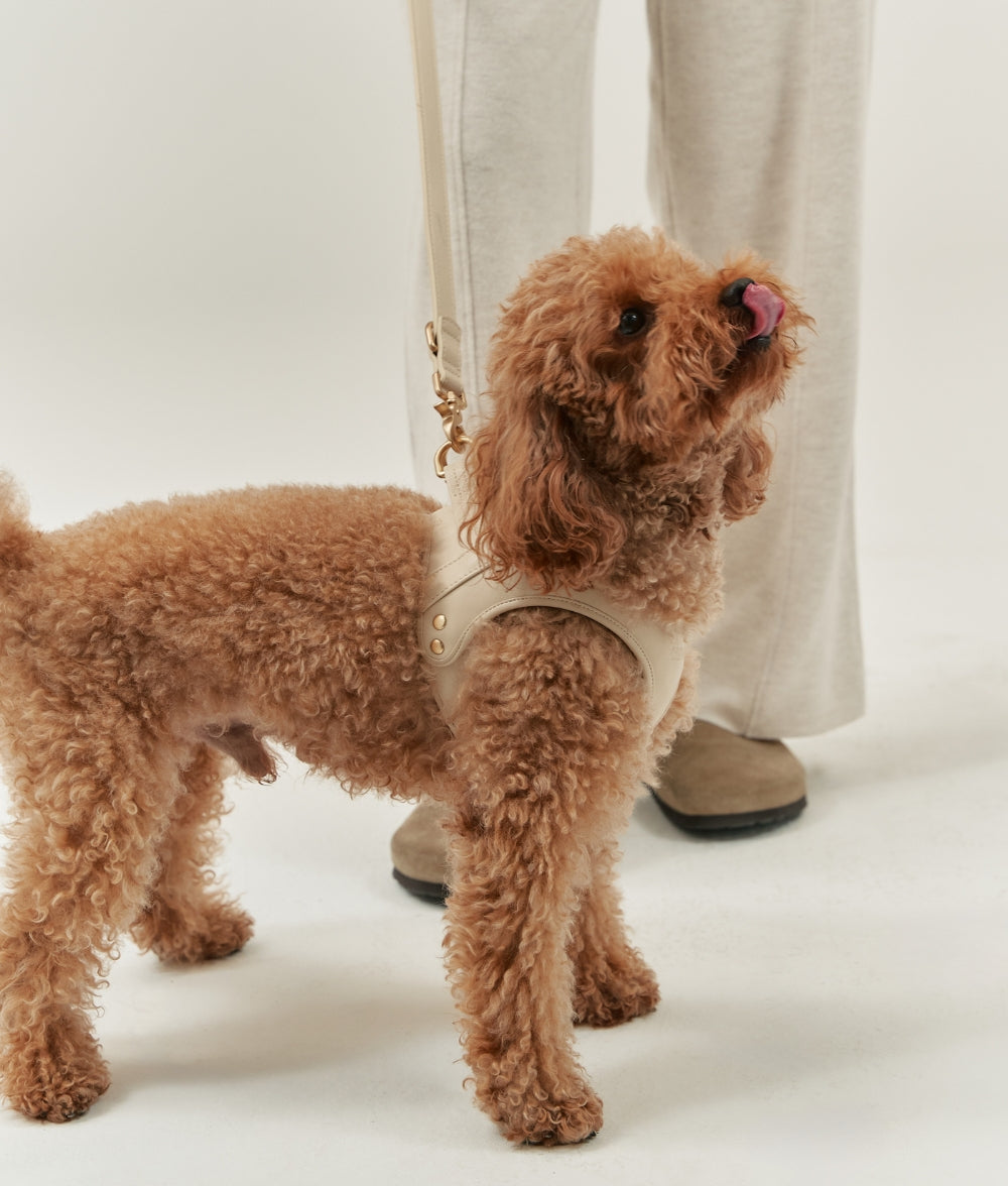 cafide-pets-walk-jala-hundegeschirr-veganes-leder-beige-m image 3