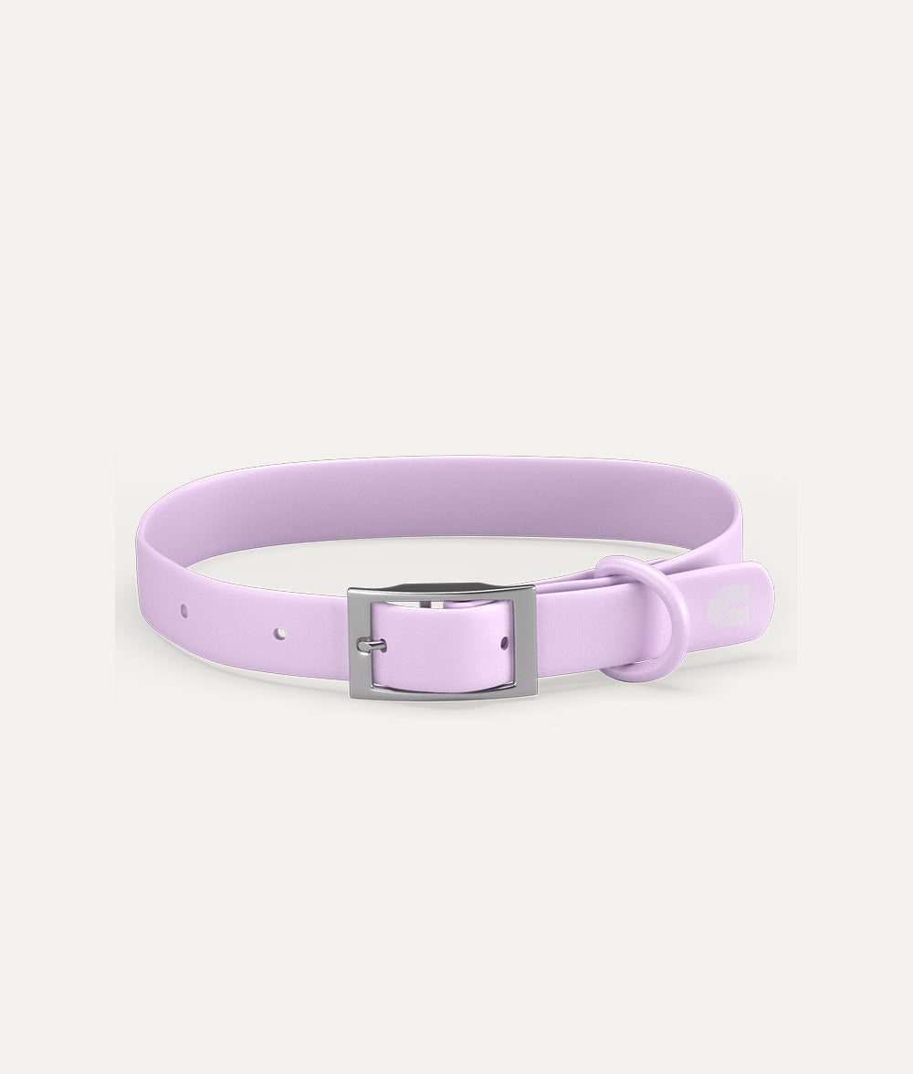 cafide-pets-walk-gala-hundehalsband-violett-verstellbar image 1