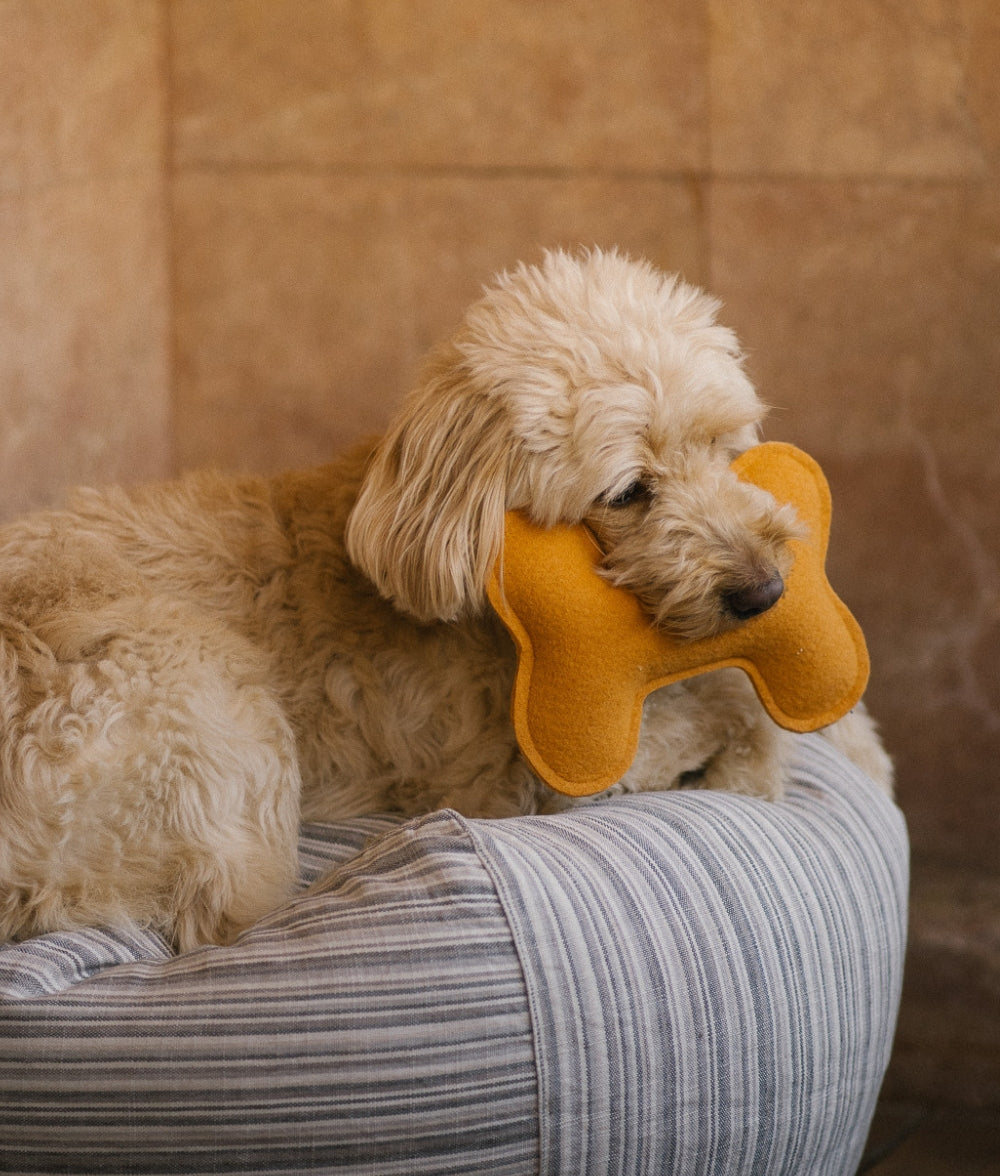 cafide-play-mustard-hundespielzeug-senf-knochen-recycling-mittelfest image 2