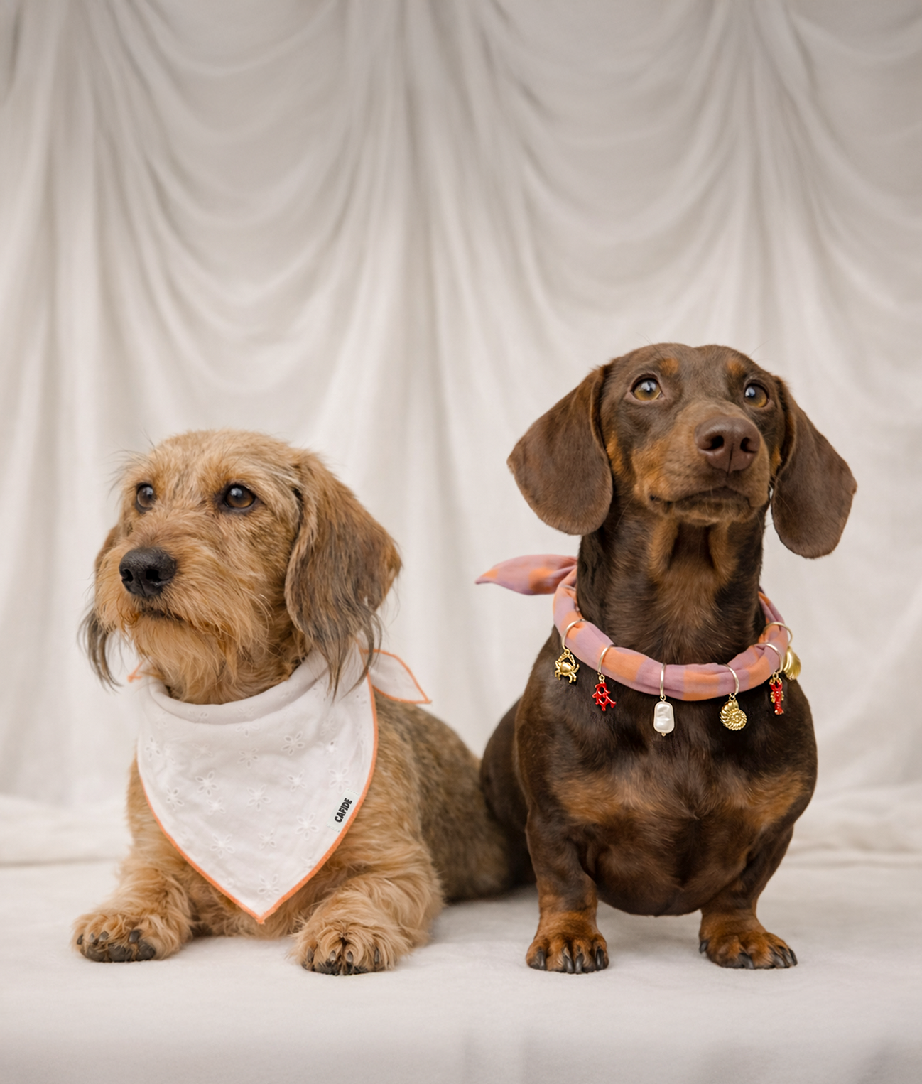 cafide-pets-nata-hundehalstuch-koralle-stickerei-gr-m image 2