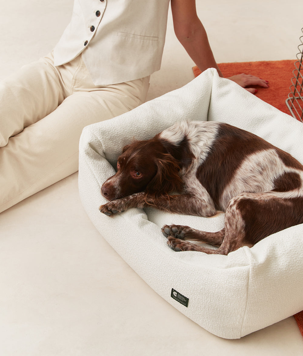cafide-pets-sleep-snozy-hundebett-bone-white-chenille image 2