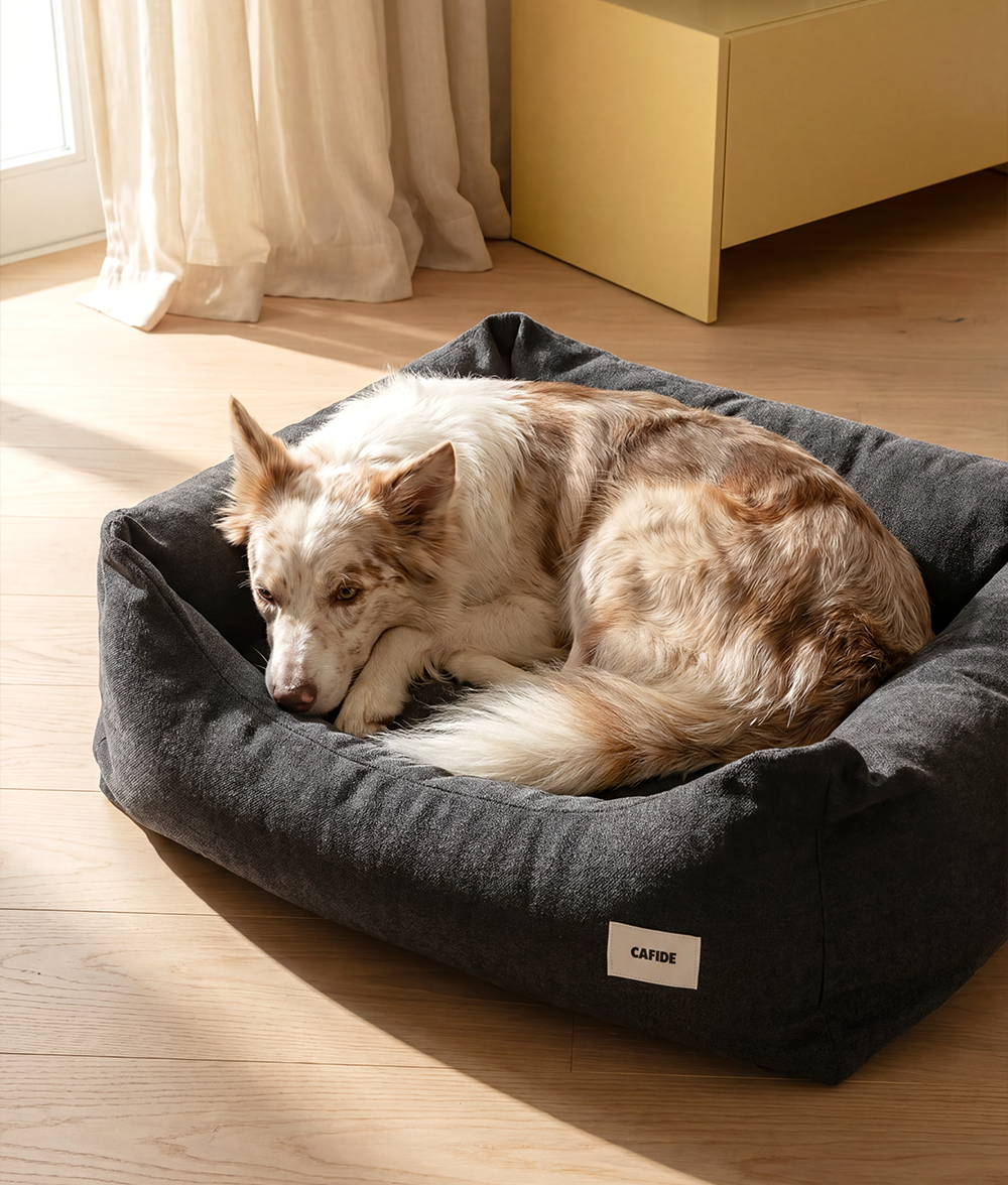 cafide-pets-snozy-hundebett-anthrazit-waschbar-s-m-l image 2