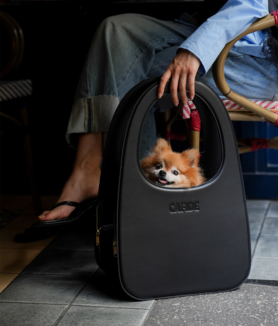 cafide-pets-travel-jala-hundetragetasche-schwarz-veganes-leder image 6