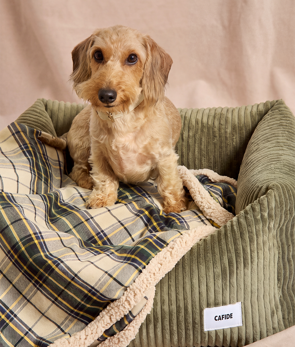 cafide-pets-sleep-toia-hundedecke-beige-karo-l image 3