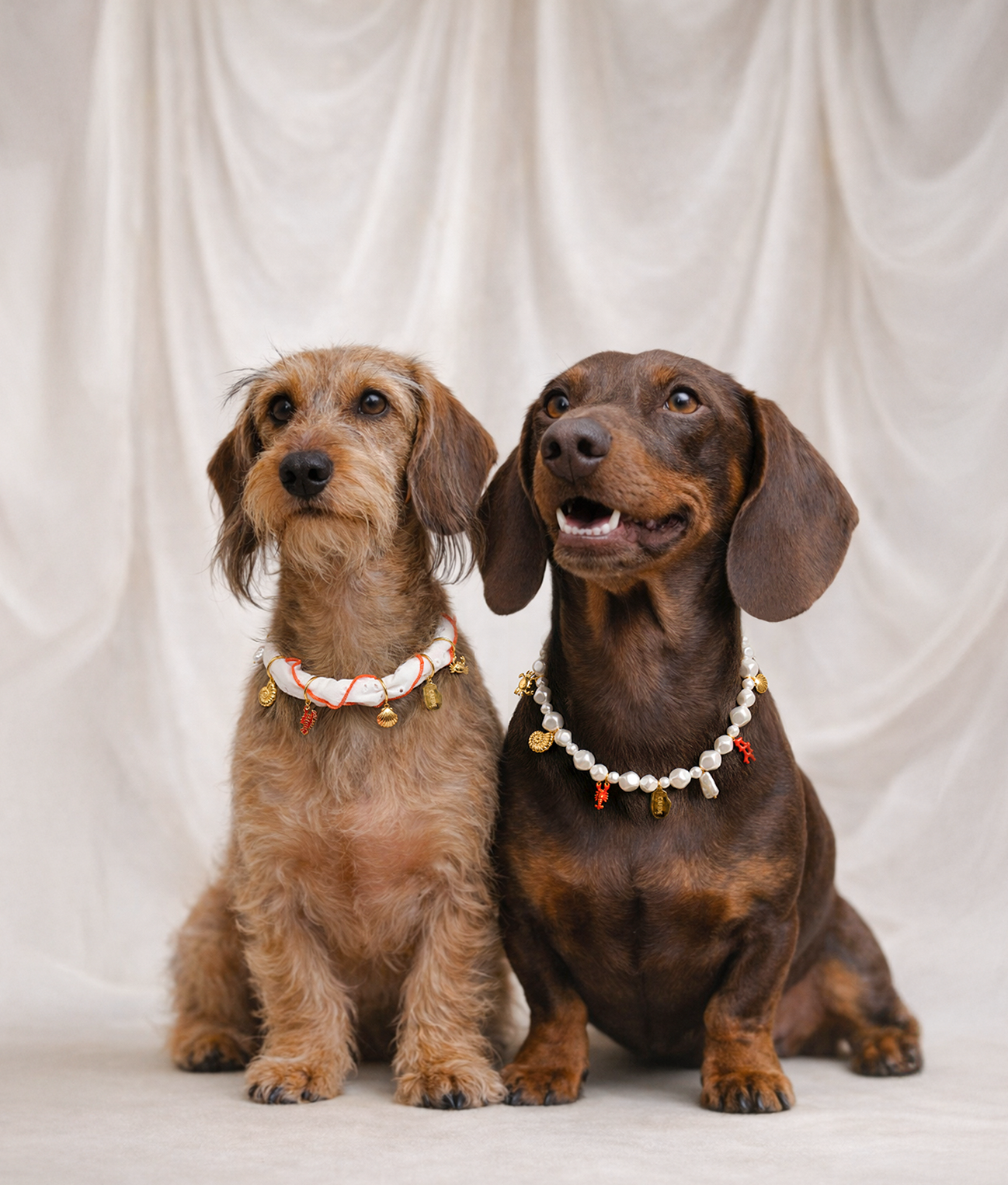 cafide-sira-hunde-halskette-koralle-schmuck-xs-l image 5