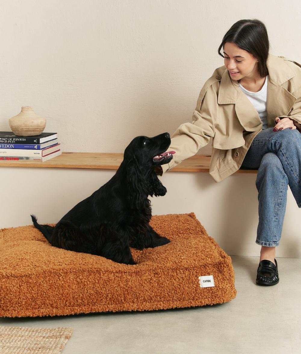 cafide-cuadra-mustard-hundebett-senf-pl-sch-waschbar-recyclingschaum image 2